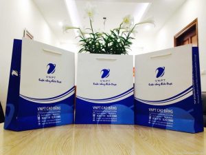 Sản phẩm in túi giấy hà nội  cực kì đẹp mắt
