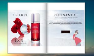 Dịch vụ in catalogue giá rẻ tại xưởng chuyên nghiệp